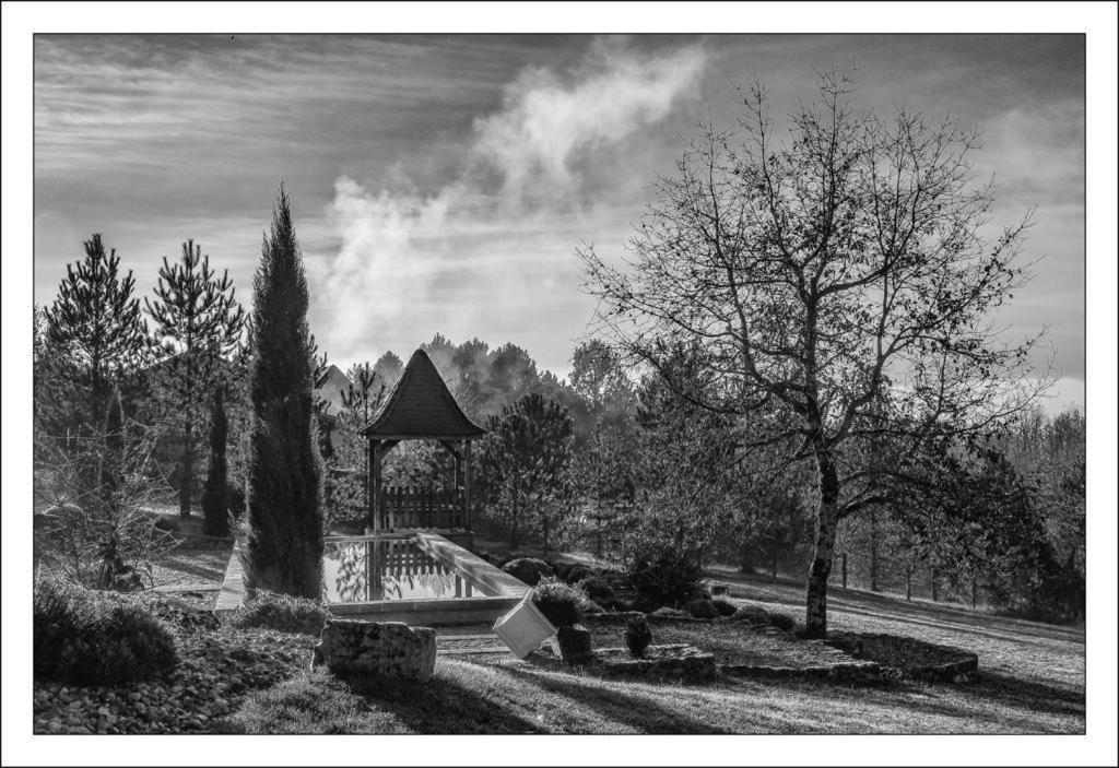 Mauzac-et-Grand-Castang Le Lion D'Or En Perigord Bed & Breakfast エクステリア 写真
